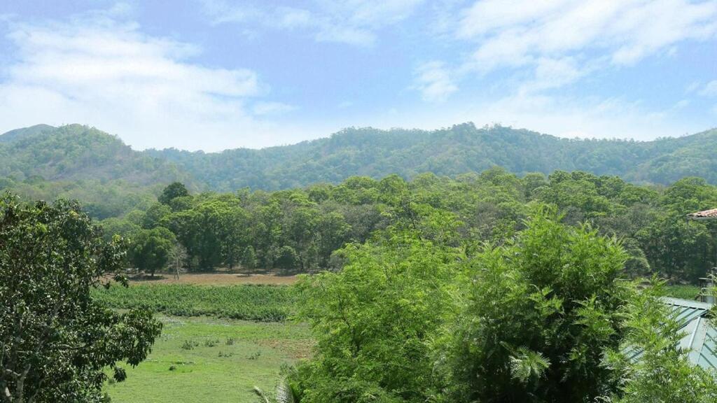 Hill Green Home Stay Теккади Экстерьер фото