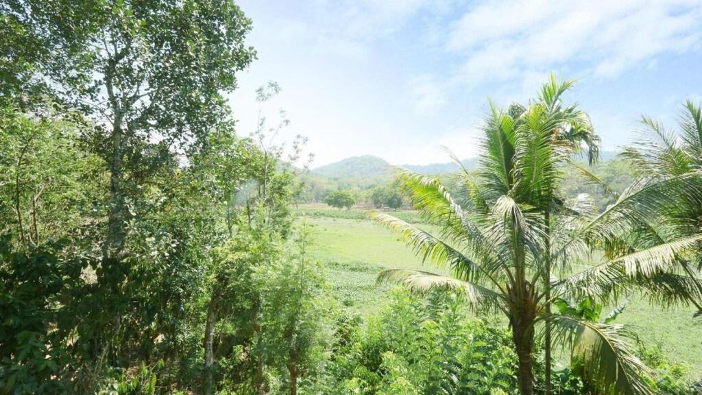 Hill Green Home Stay Теккади Экстерьер фото